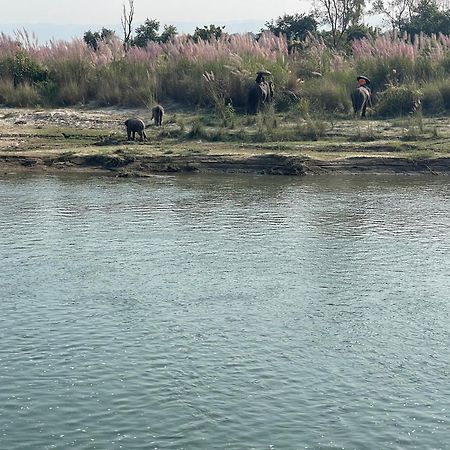 Chitwan Riverside Resort ソーラハ エクステリア 写真