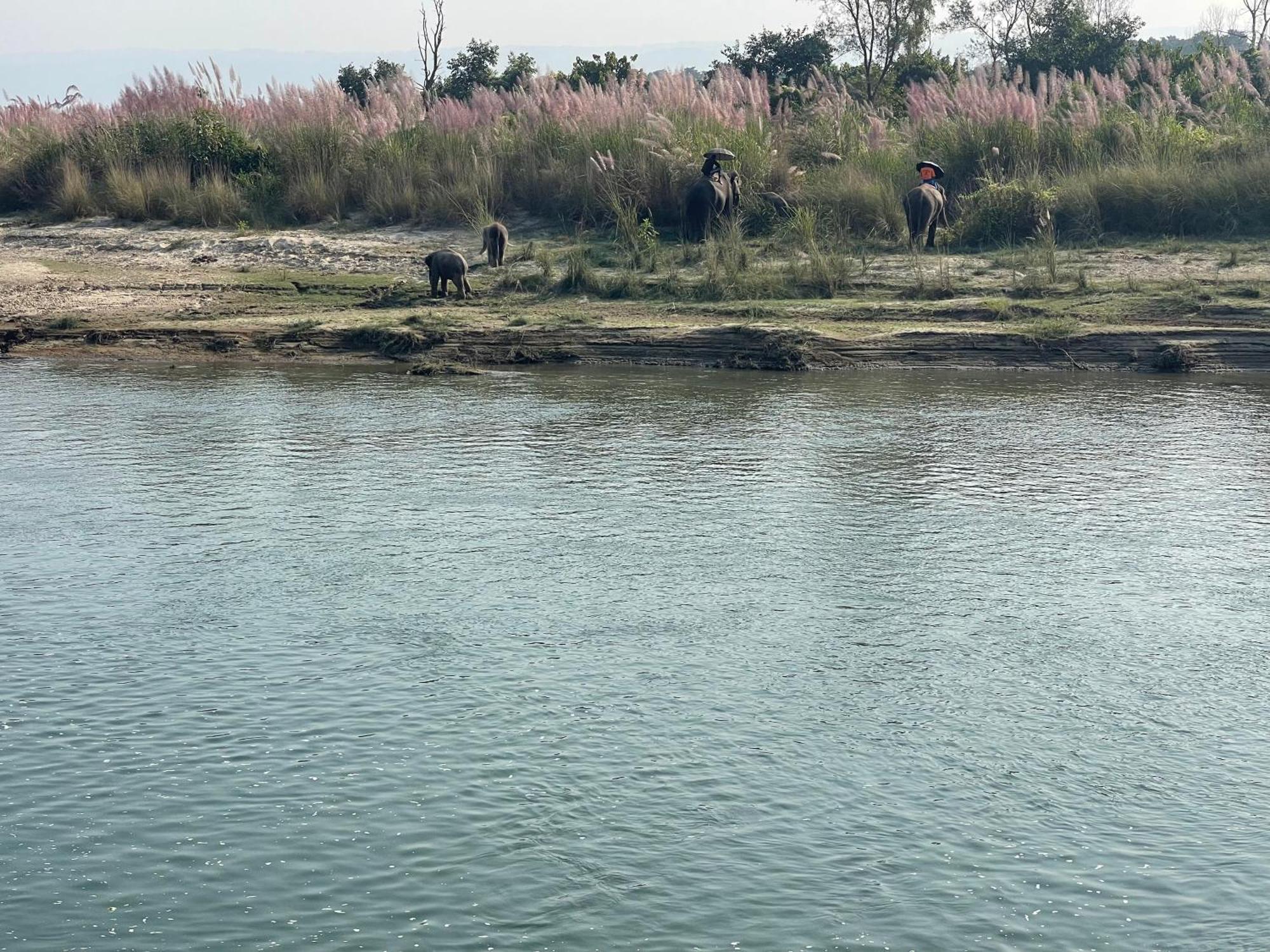 Chitwan Riverside Resort ソーラハ エクステリア 写真