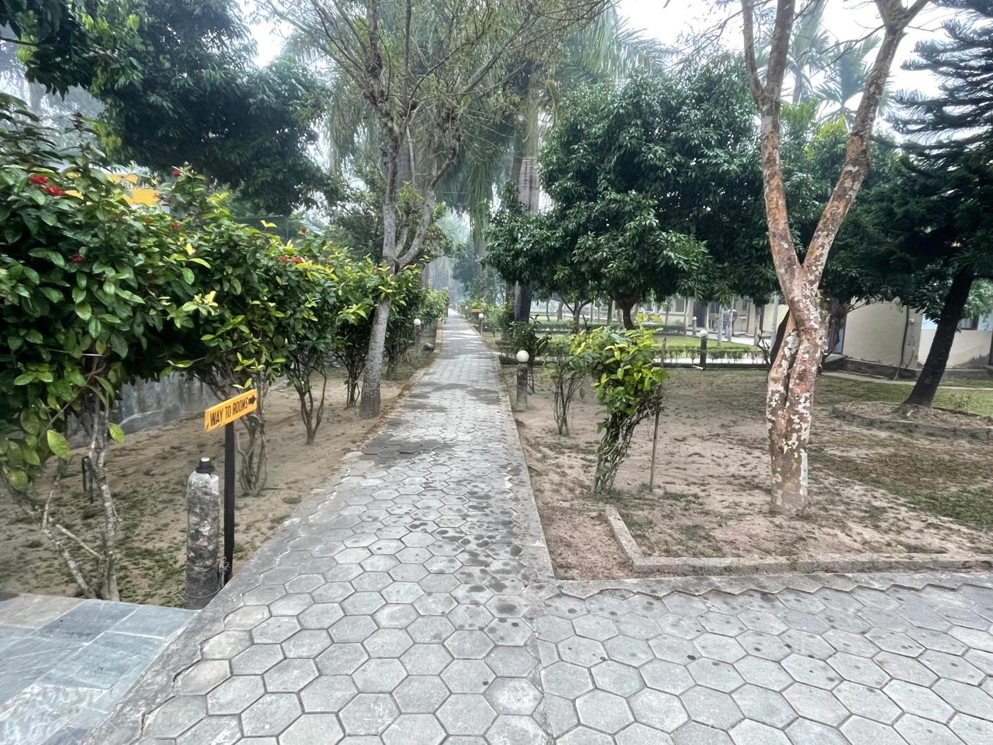 Chitwan Riverside Resort ソーラハ エクステリア 写真