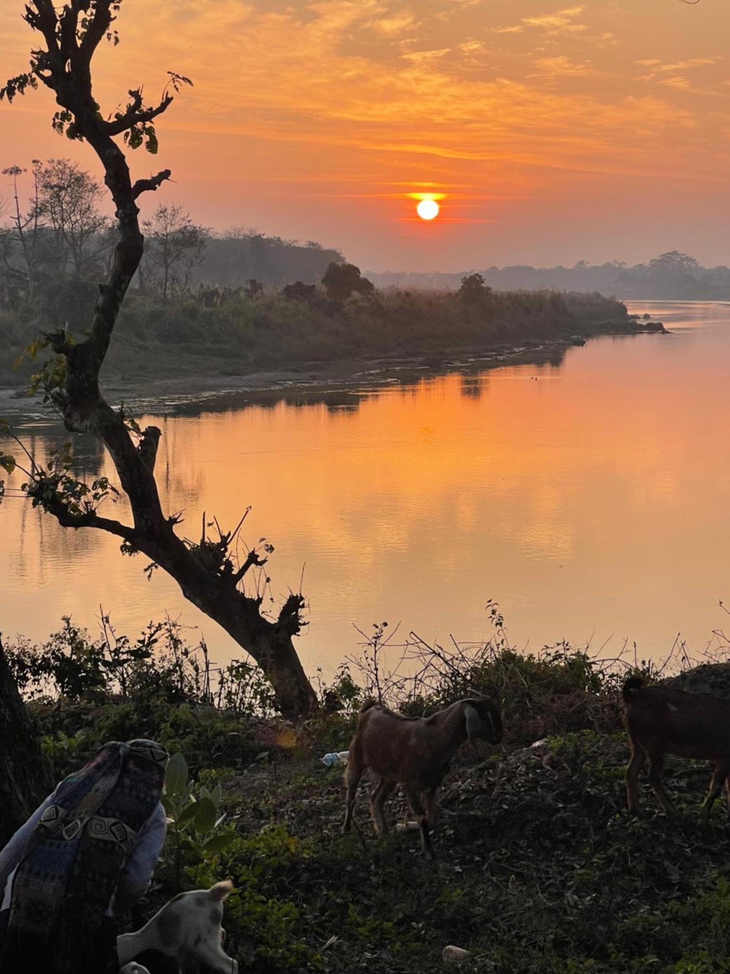 Chitwan Riverside Resort ソーラハ エクステリア 写真