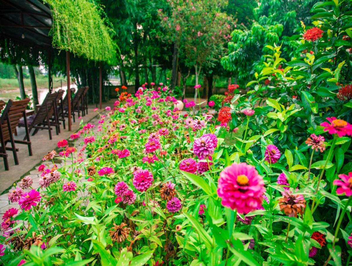Chitwan Riverside Resort ソーラハ エクステリア 写真
